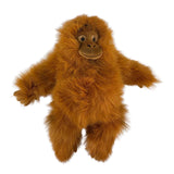 Bocchetta Cha Cha 35cm Orangutan Plush Toy (Realistic Stuffed Animal Wildlife Gift)