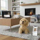 Bocchetta Chanel 26cm Sitting Golden Retriever Plush Toy (Realistic Stuffed Animal Dog Gift)