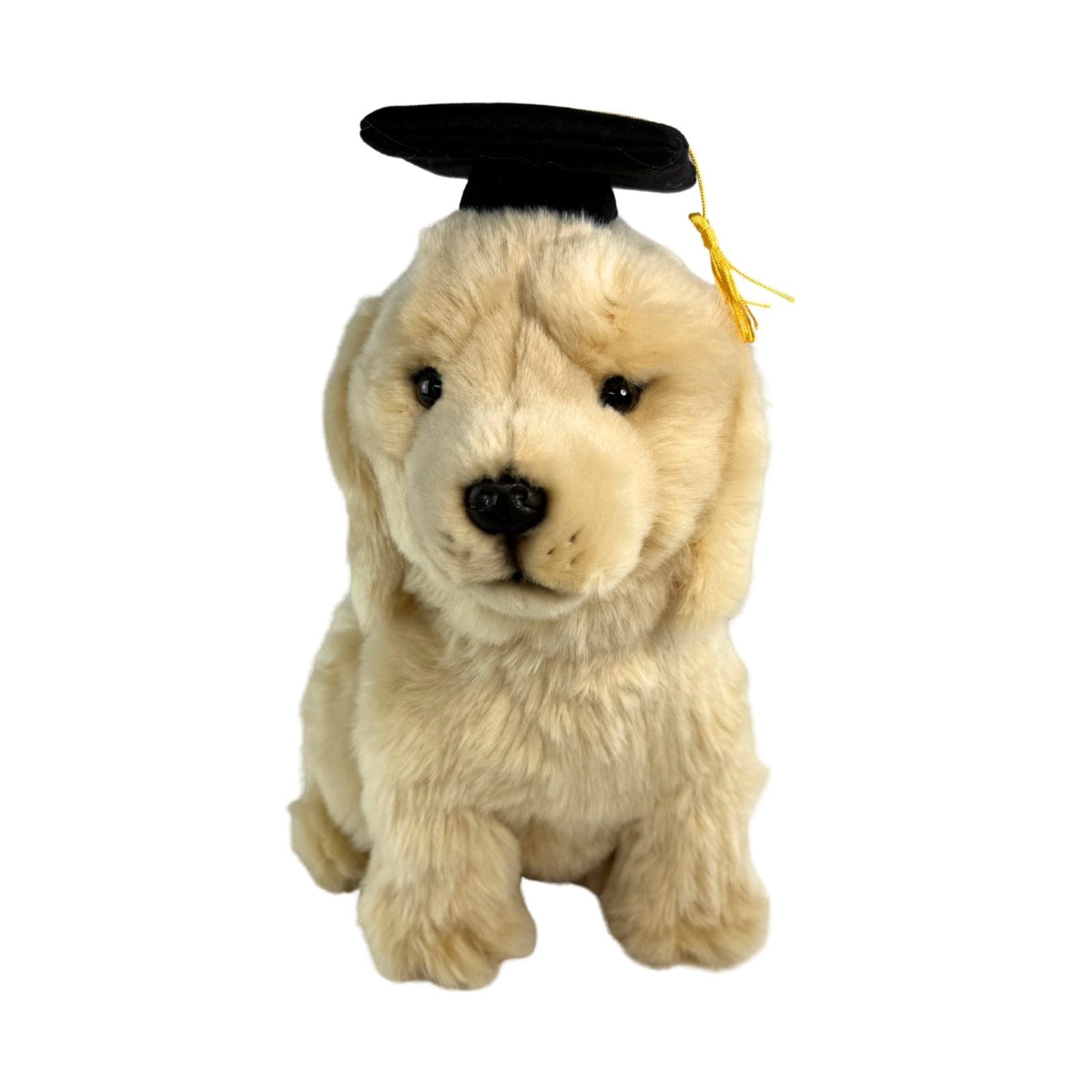 Bocchetta Chanel 28cm Sitting Graduation Golden Retriever Plush Toy (Stuffed Animal Dog Grad Gift)