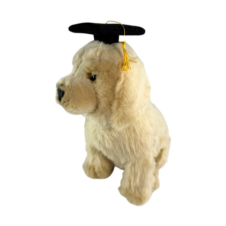 Bocchetta Chanel 28cm Sitting Graduation Golden Retriever Plush Toy (Stuffed Animal Dog Grad Gift)