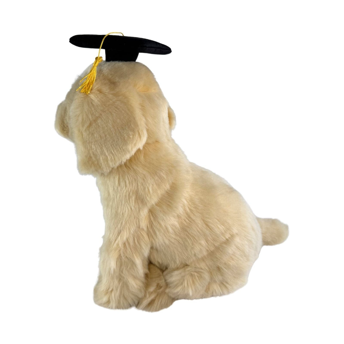 Bocchetta Chanel 28cm Sitting Graduation Golden Retriever Plush Toy (Stuffed Animal Dog Grad Gift)