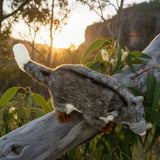Bocchetta Cody 23cm Ringtail Possum Plush Toy (Australian Stuffed Animal Souvenir Gift)