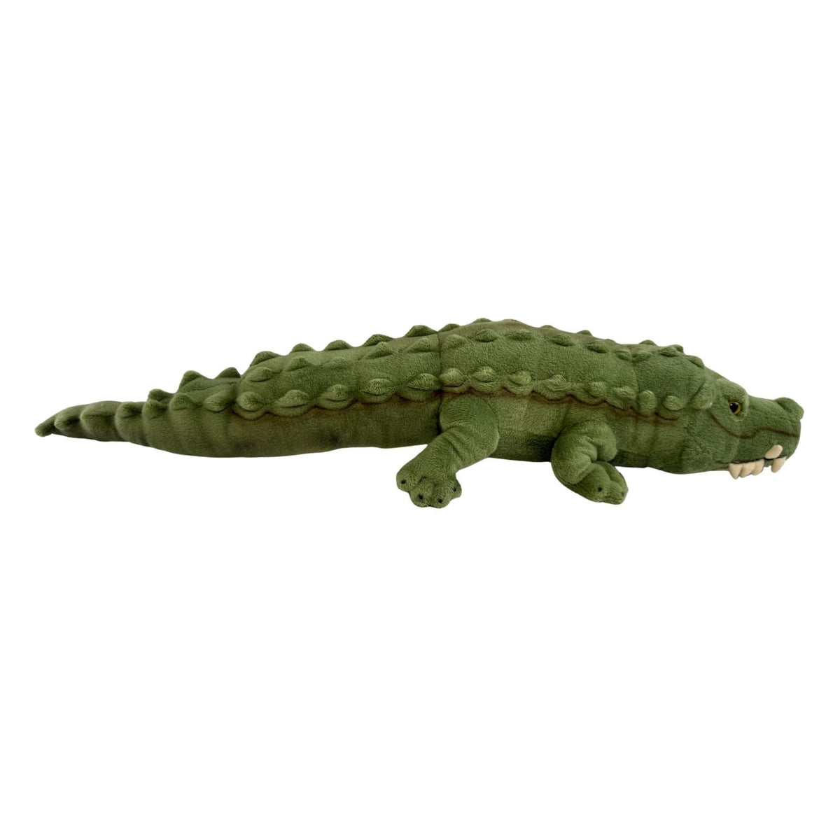 Bocchetta Cole 58cm Crocodile Plush Toy - Green (Australian Stuffed Animal Souvenir Gift)