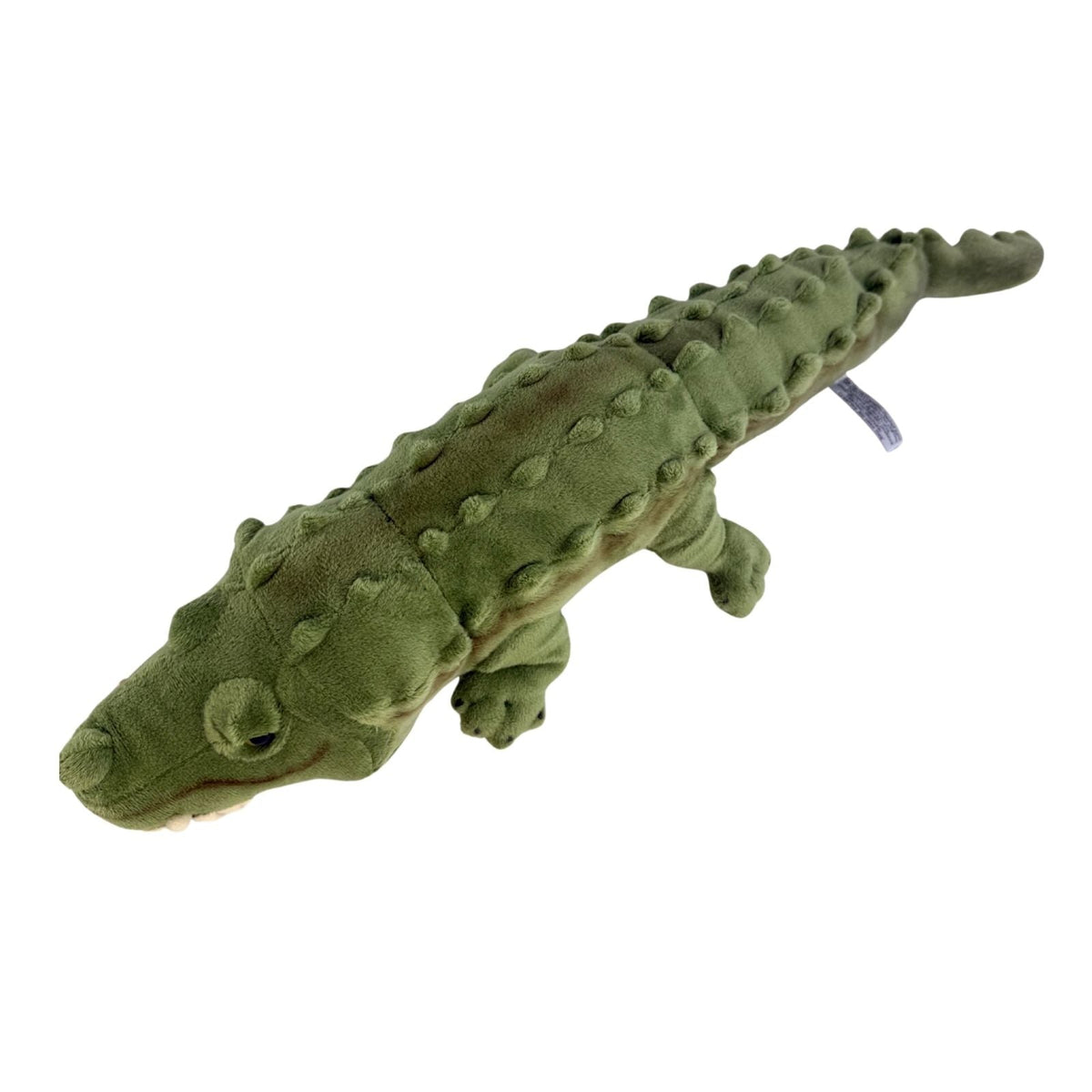 Bocchetta Cole 58cm Crocodile Plush Toy - Green (Australian Stuffed Animal Souvenir Gift)