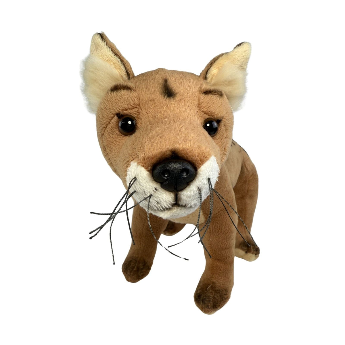 Bocchetta Cooper 30cm Standing Tasmanian Tiger Plush Toy (Australian Stuffed Animal Souvenir Gift)
