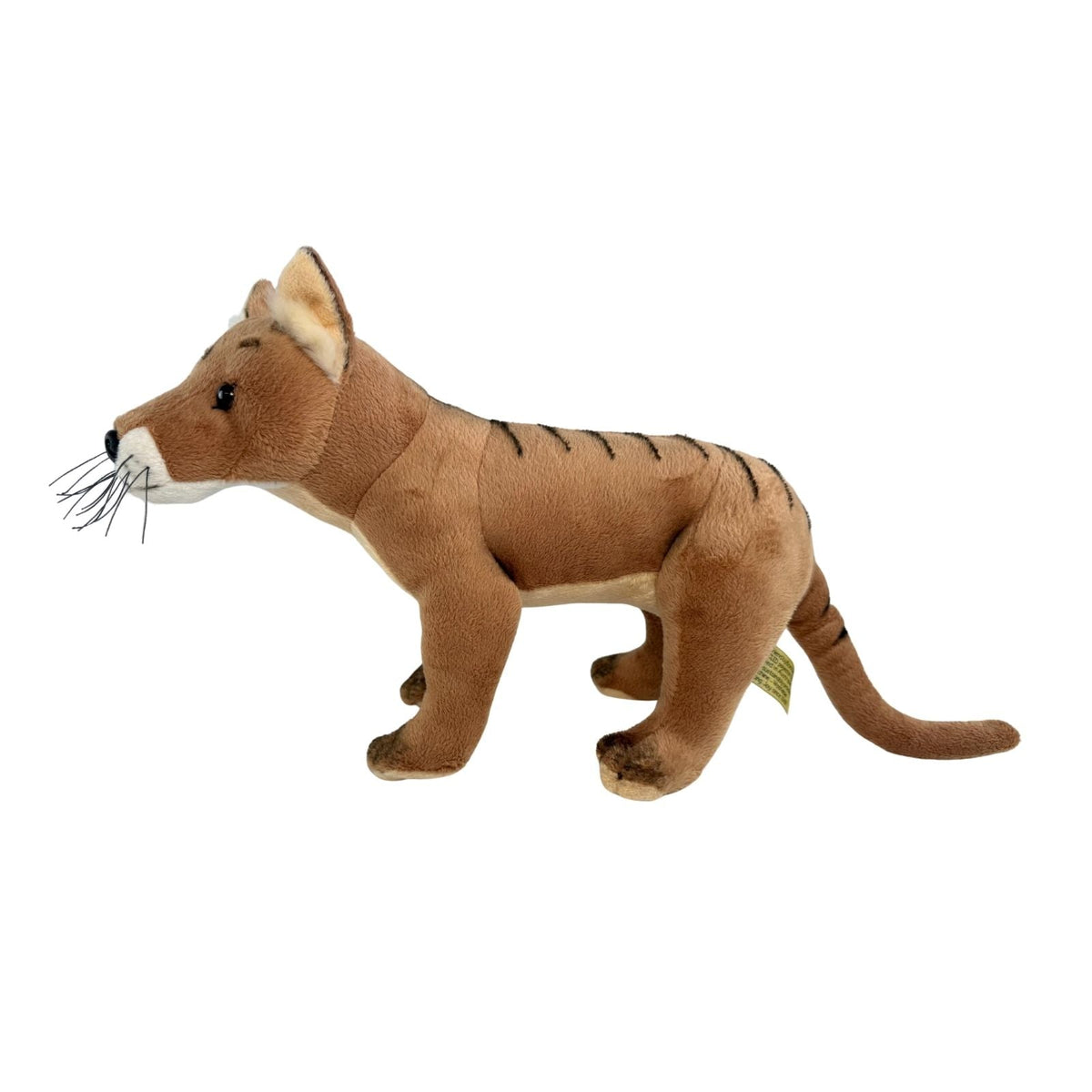 Bocchetta Cooper 30cm Standing Tasmanian Tiger Plush Toy (Australian Stuffed Animal Souvenir Gift)