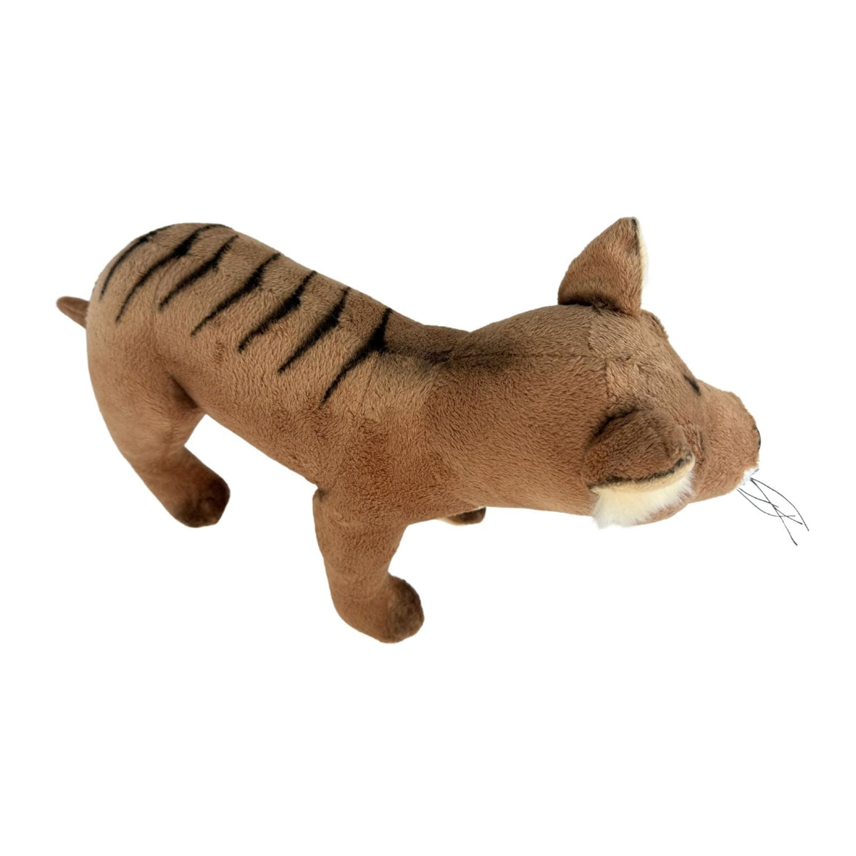 Bocchetta Cooper 30cm Standing Tasmanian Tiger Plush Toy (Australian Stuffed Animal Souvenir Gift)