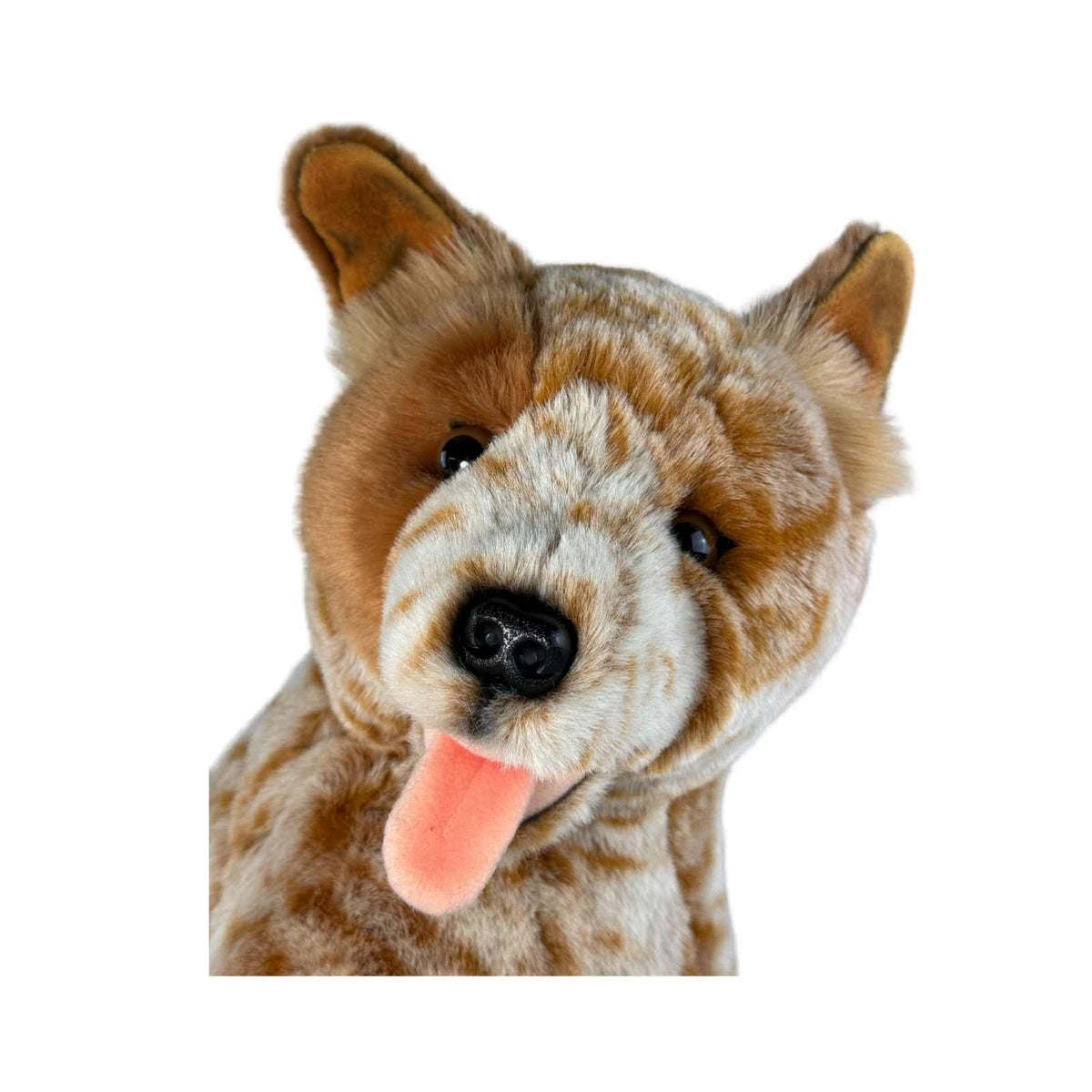 Bocchetta Copper 41cm Sitting Red Heeler Cattle Dog Plush Toy (Australian Stuffed Animal Gift)