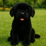 Bocchetta Darth 28cm Sitting Labrador Plush Toy - Black (Realistic Stuffed Animal Dog Gift)