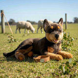 Bocchetta Denver 62cm Lying Kelpie Plush Toy (Australian Stuffed Animal Dog Gift)