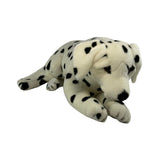 Bocchetta Denzel 62cm Lying Dalmatian Plush Toy (Realistic Stuffed Animal Dog Gift)