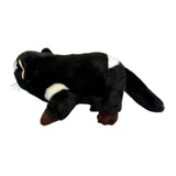 Bocchetta Diego 24cm Tasmanian Devil Plush Toy (Australian Stuffed Animal Souvenir Gift)