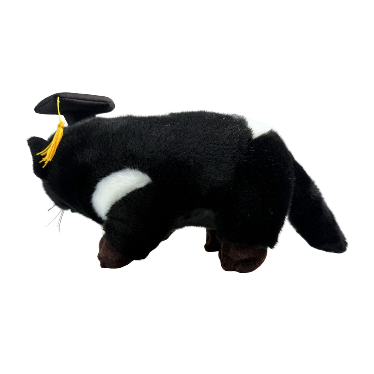 Bocchetta Diego 24cm Graduation Tasmanian Devil Plush Toy (Stuffed Animal Grad Gift)