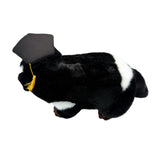 4x Bocchetta Diego 24cm Graduation Tasmanian Devil Plush Toy Bulk Pack (Stuffed Animal Grad Gift)
