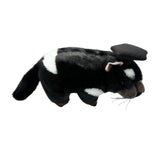 Bocchetta Diego 24cm Graduation Tasmanian Devil Plush Toy (Stuffed Animal Grad Gift)