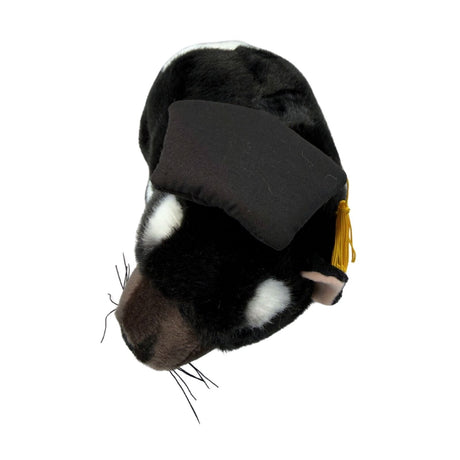 4x Bocchetta Diego 24cm Graduation Tasmanian Devil Plush Toy Bulk Pack (Stuffed Animal Grad Gift)
