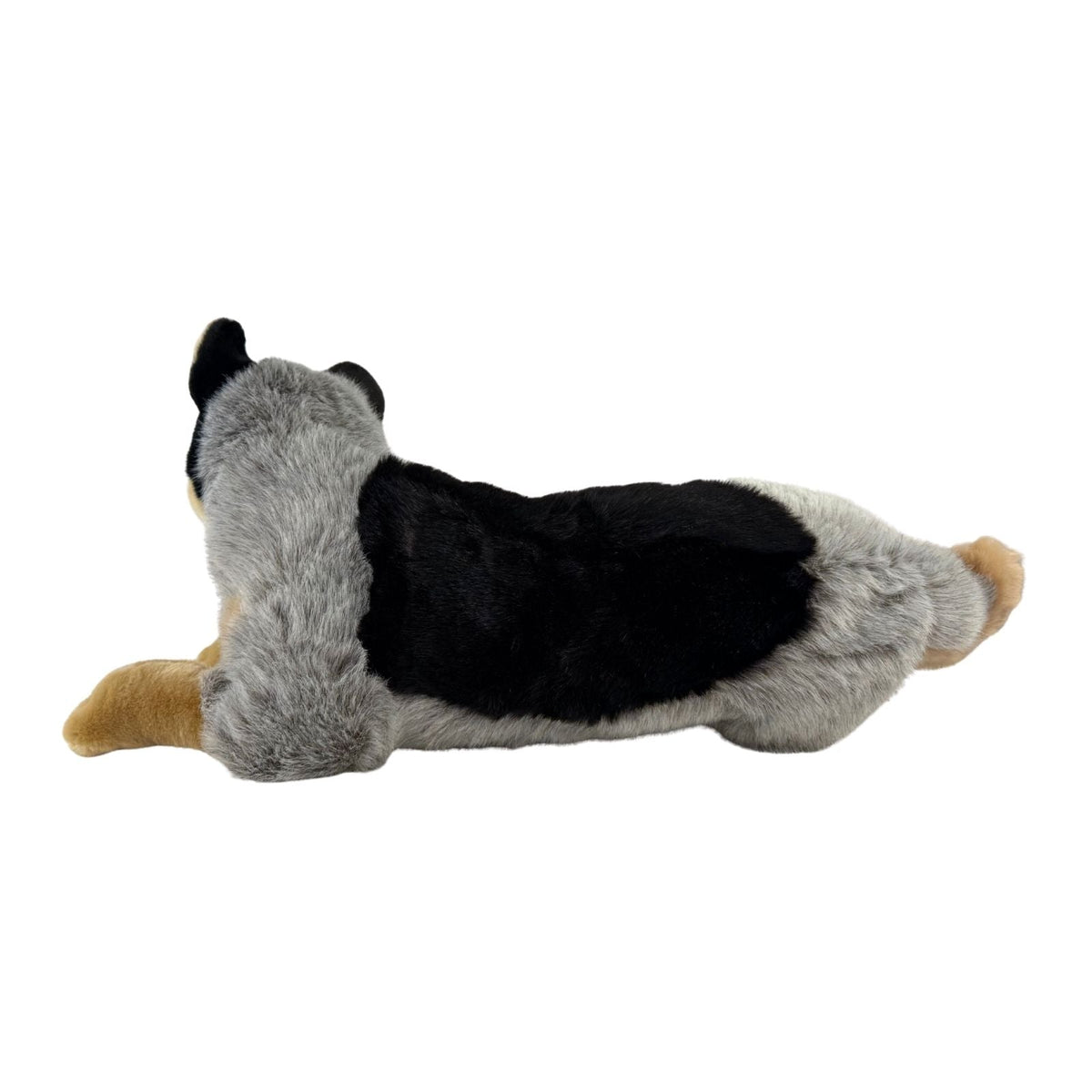 Bocchetta Diesel 62cm Lying Blue Heeler Cattle Dog with Satin Pocket Plush Toy (Australian Stuffed Animal Gift)