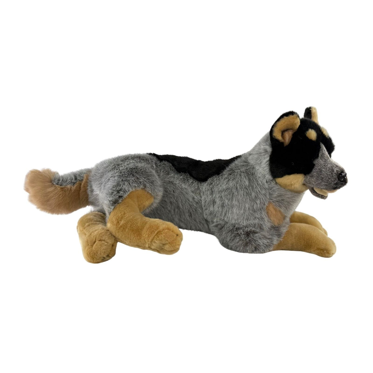 Bocchetta Diesel 62cm Lying Blue Heeler Cattle Dog with Satin Pocket Plush Toy (Australian Stuffed Animal Gift)