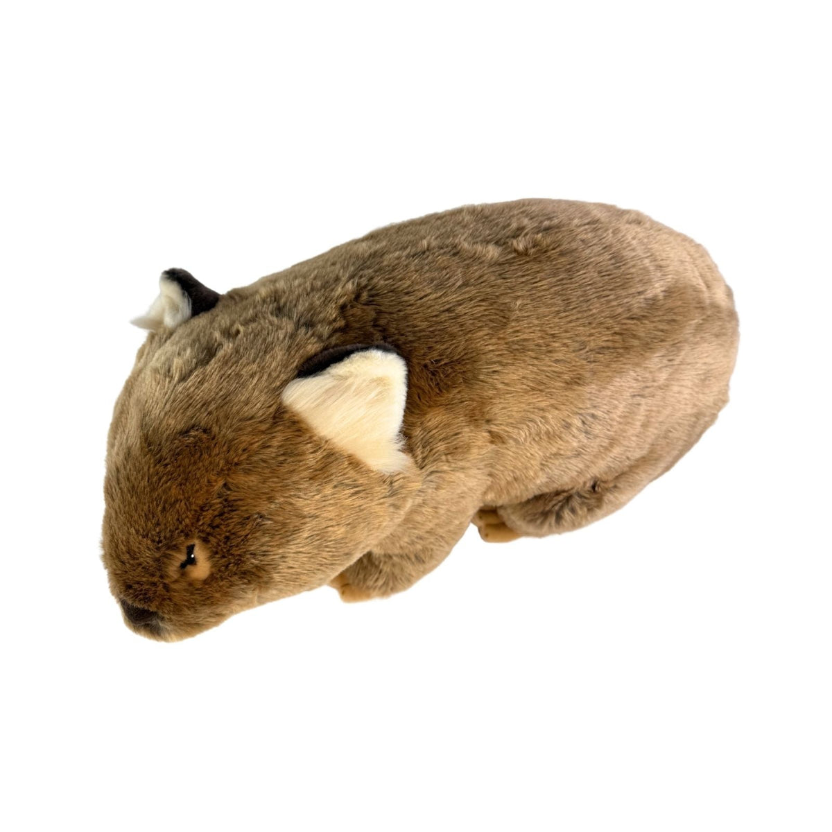 Bocchetta Digger 55cm Wombat Plush Toy (Australian Stuffed Animal Souvenir Gift)