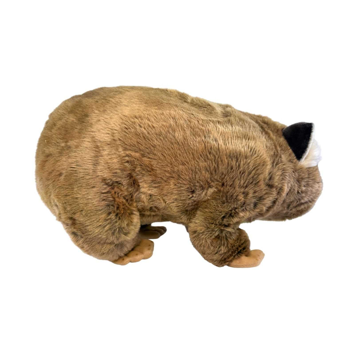 Bocchetta Digger 55cm Wombat Plush Toy (Australian Stuffed Animal Souvenir Gift)