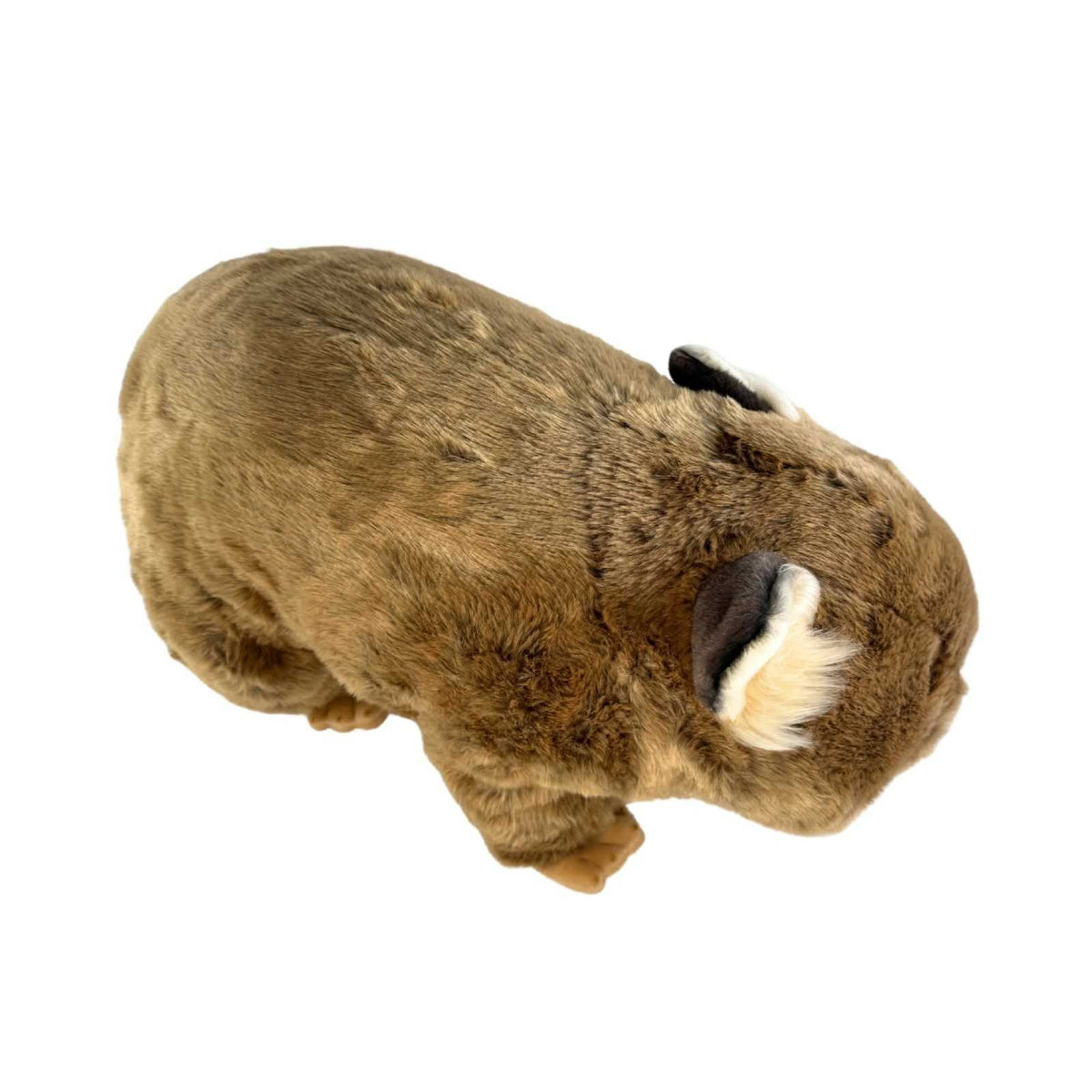 Bocchetta Digger 55cm Wombat Plush Toy (Australian Stuffed Animal Souvenir Gift)