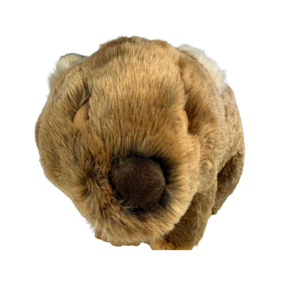 Bocchetta Digger 55cm Wombat Plush Toy (Australian Stuffed Animal Souvenir Gift)