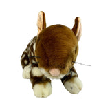 Bocchetta Dotti 30cm Eastern Quoll Plush Toy (Australian Stuffed Animal Souvenir Gift)