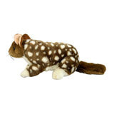 Bocchetta Dotti 30cm Eastern Quoll Plush Toy (Australian Stuffed Animal Souvenir Gift)