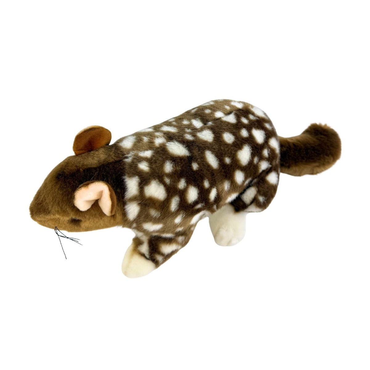 Bocchetta Dotti 30cm Eastern Quoll Plush Toy (Australian Stuffed Animal Souvenir Gift)