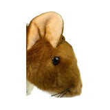 Bocchetta Dotti 30cm Eastern Quoll Plush Toy (Australian Stuffed Animal Souvenir Gift)