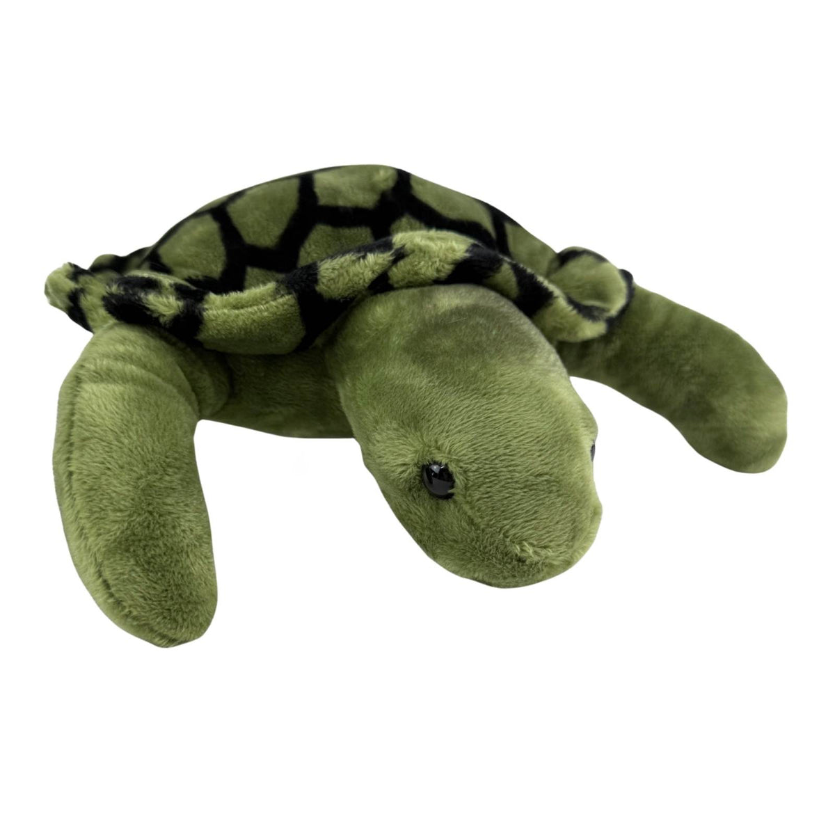 Bocchetta Doug 27cm Turtle Plush Toy (Realistic Stuffed Animal Sea Life Gift)