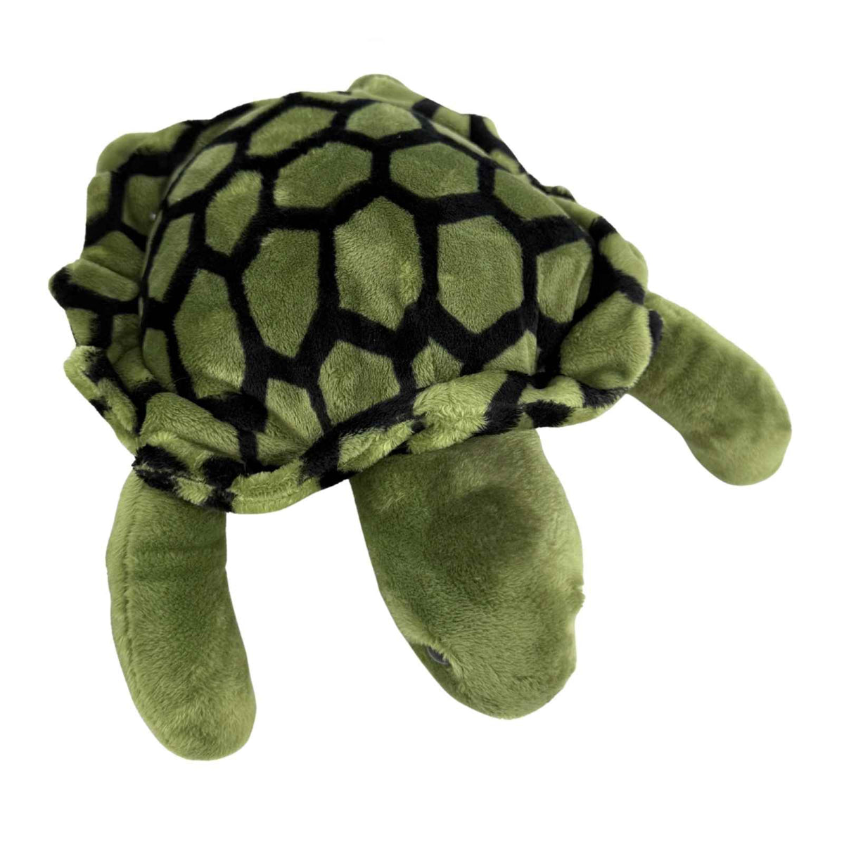 Bocchetta Doug 27cm Turtle Plush Toy (Realistic Stuffed Animal Sea Life Gift)