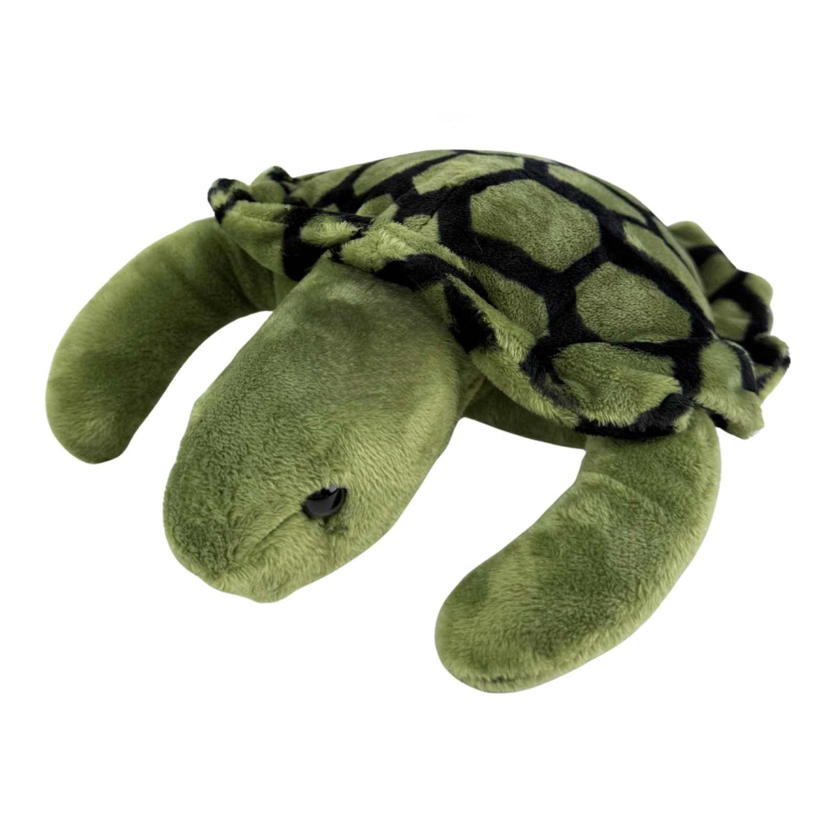 Bocchetta Doug 27cm Turtle Plush Toy (Realistic Stuffed Animal Sea Life Gift)