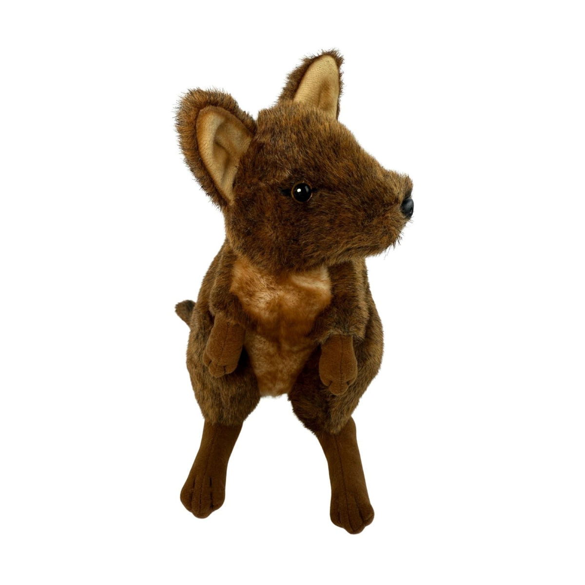 Bocchetta Dusky 27cm Pademelon Plush Toy (Australian Stuffed Animal Souvenir Gift)