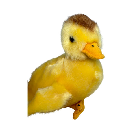 Bocchetta Dutchess 16cm Duckling Plush Toy (Realistic Stuffed Animal Farm Gift)