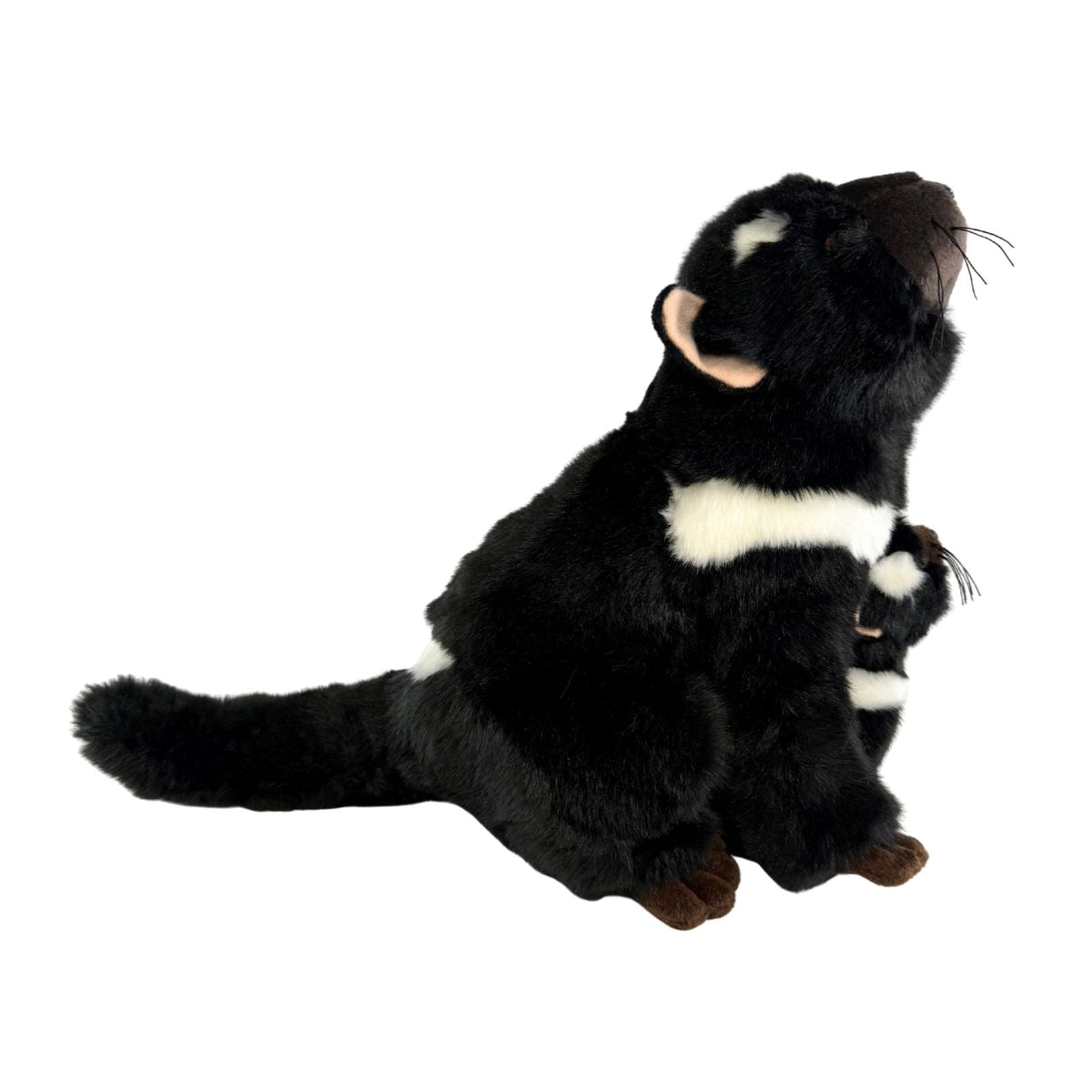 Bocchetta Ebony & Zippy 28cm Tasmanian Devil with Baby Plush Toy (Australian Stuffed Animal Souvenir Gift)