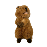 Bocchetta Edward 21cm Standing Quokka Plush Toy (Australian Stuffed Animal Souvenir Gift)