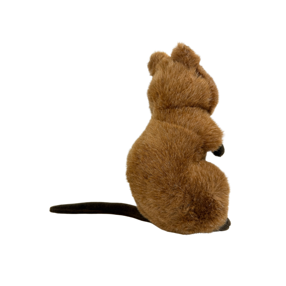 Bocchetta Edward 21cm Standing Quokka Plush Toy (Australian Stuffed Animal Souvenir Gift)
