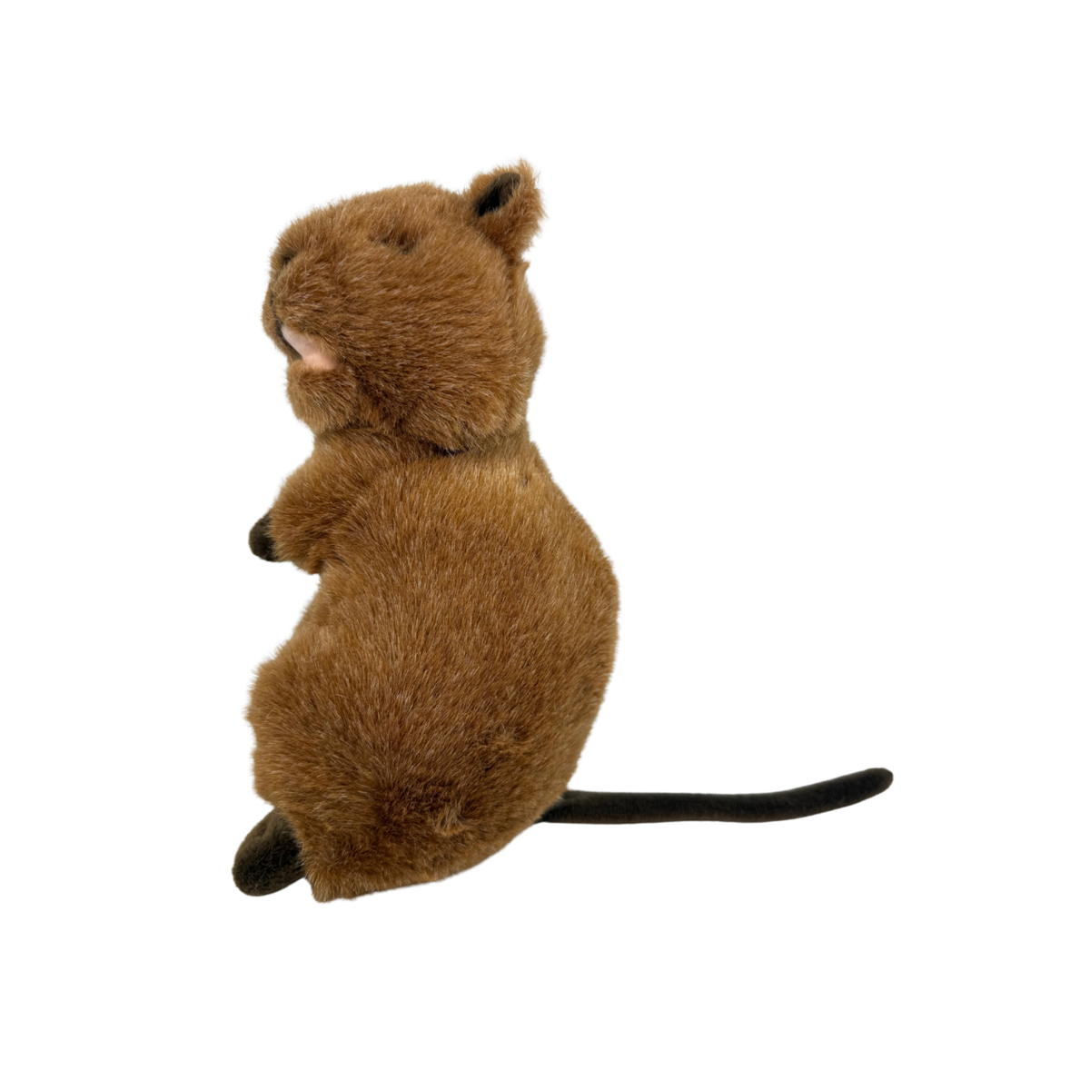 Bocchetta Edward 21cm Standing Quokka Plush Toy (Australian Stuffed Animal Souvenir Gift)
