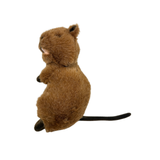 Bocchetta Edward 21cm Standing Quokka Plush Toy (Australian Stuffed Animal Souvenir Gift)