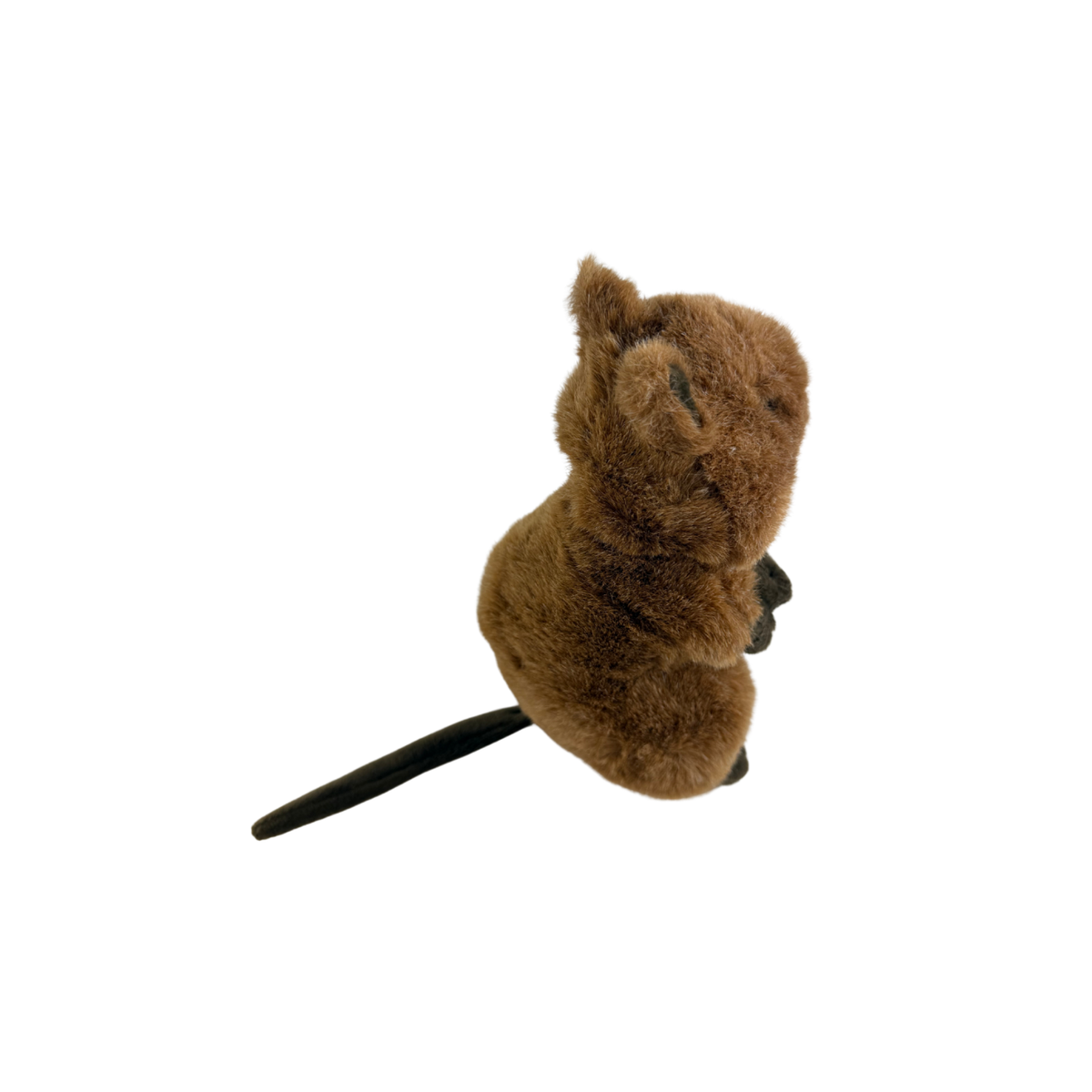 Bocchetta Edward 21cm Standing Quokka Plush Toy (Australian Stuffed Animal Souvenir Gift)