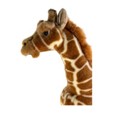Bocchetta Elliot 37cm Giraffe Plush Toy (Realistic Stuffed Animal Wildlife Gift)