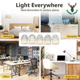 CarolCraft Christmas LED Acrylic USB Lamp Set of 5 Decoration Ornament Xmas Gift