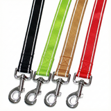 Reflective Nylon Dog Leash Lead Training Obedience Recall Walk Hi Vis - Assorted Colours