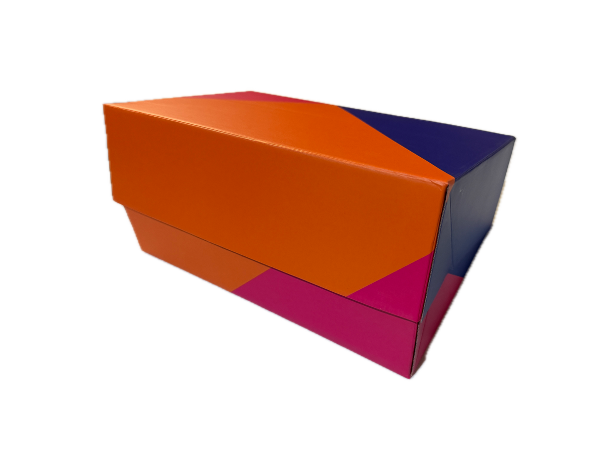100x Medium Flat-Pack Cardboard Packing Boxes/Cartons - Geometric Print (270x180x80mm)