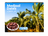 5kg Organic Bio Medjool Dates - 1 Box