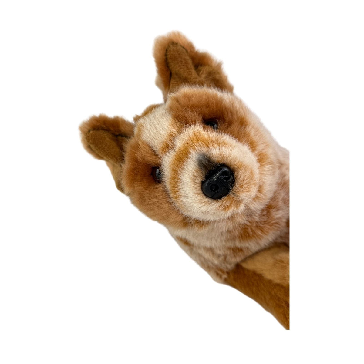Bocchetta Flame 28cm Floppy Red Heeler Cattle Dog Puppy Plush Toy (Australian Stuffed Animal Gift)