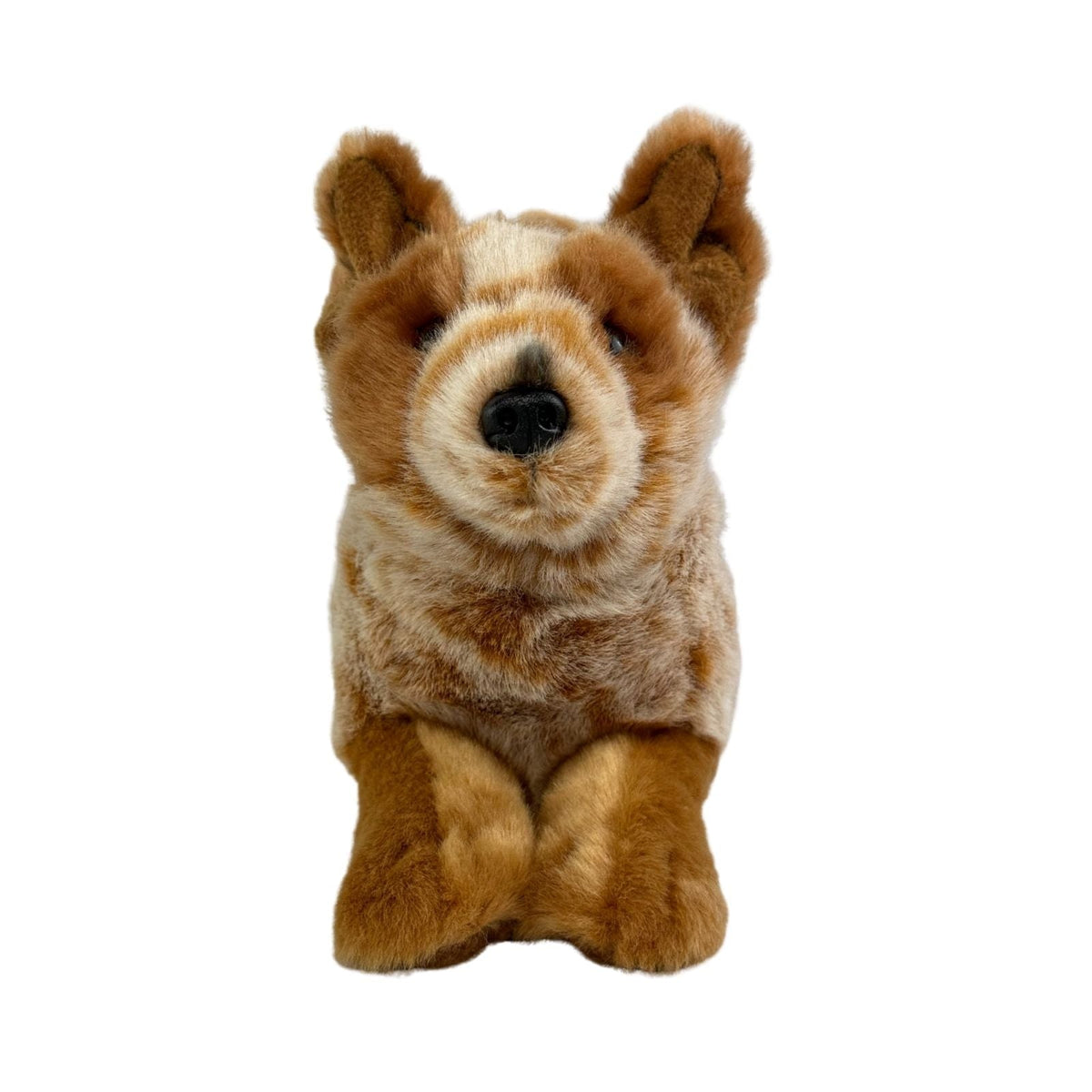 Bocchetta Flame 28cm Floppy Red Heeler Cattle Dog Puppy Plush Toy (Australian Stuffed Animal Gift)