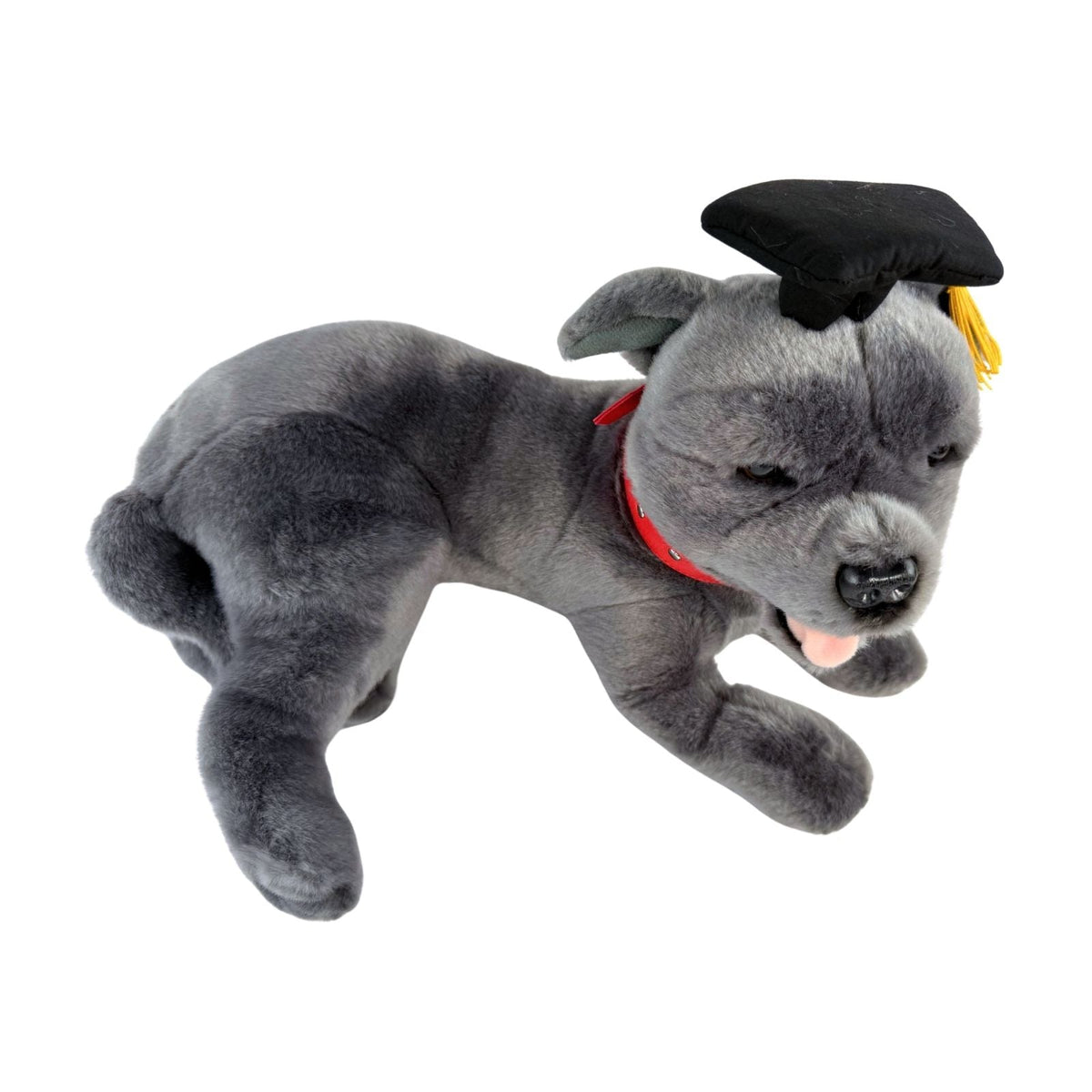 Bocchetta Flint 35cm Lying Graduation Staffy Plush Toy - Grey (Stuffed Animal Dog Grad Gift)