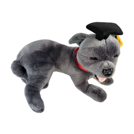 Bocchetta Flint 35cm Lying Graduation Staffy Plush Toy - Grey (Stuffed Animal Dog Grad Gift)